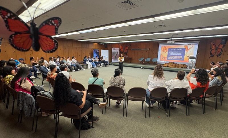 Monarcas en vuelo: el cuidado que migra, el cuidado que queda