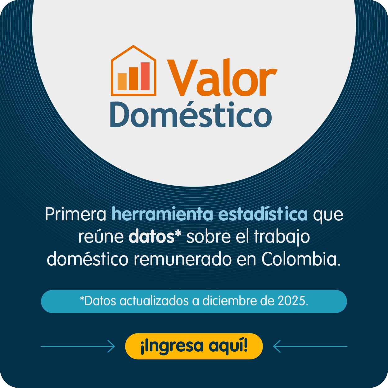 Conoce toda la información agrupada en nueve categorías.